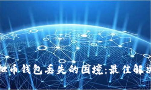 如何有效应对虚拟币钱包丢失的困境：最佳解决方案与预防措施